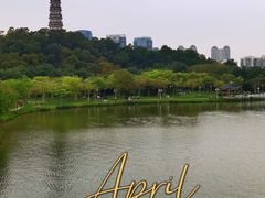 -顺峰山公园