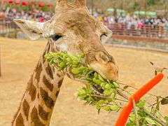 -济南野生动物世界
