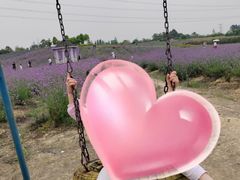 -紫颐香薰山谷景区