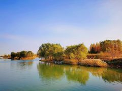 -马家湾湿地公园