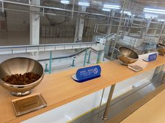 -歌斐颂巧克力小镇