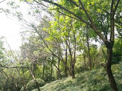 -艾坪山公园