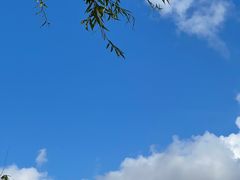 -迪士尼小镇