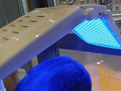 -碧莲盛·不剃发植发