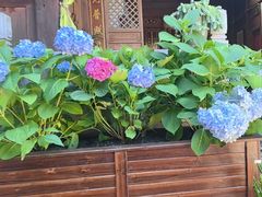 -龙姐私房菜(和顺古镇店)