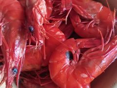 -海堤葡萄园中小学生研学基地