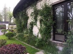 -杭州西湖柳莺里酒店