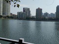 -喷泉公园