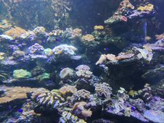 -北海·海洋之窗