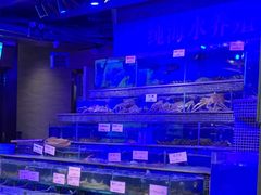 -青蓬蒸汽海鲜·深圳老字号·团建聚会(壹方城店)