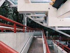-香港大学