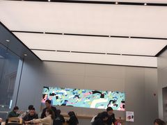 -Apple零售店(成都太古里店)