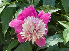 -国家植物园南园