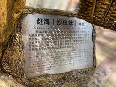 -北海金海湾红树林生态旅游区