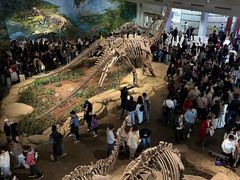 -自贡恐龙博物馆