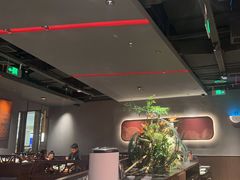 -捞王猪肚鸡火锅(金华义乌之心店)