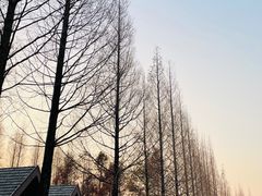 -太阳岛度假酒店