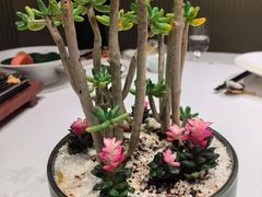 -金链花·泰国餐厅(国贸店)