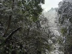 -青城山