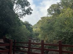 -广州白江湖森林公园