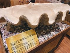 -信不信由你博物馆