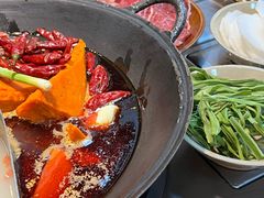 -阳阳老火锅(小南门店)