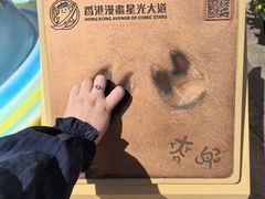 -九龙公园