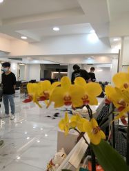 -雅仕 HAIR SALON 美发沙龙