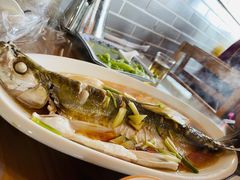清蒸白水鱼-洞天食府(北大街店)