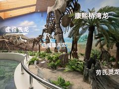 -延庆地质公园博物馆