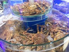 -新海渔港·胶东海鲜家常菜·家宴(奥体中心店)