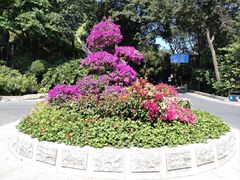 -广州市白云山风景名胜区