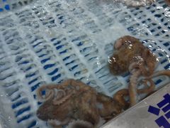 -盒马鲜生(昆城店)