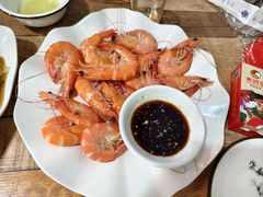 -东鸽皇(奥园·中环广场店)