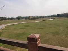 -北京麋鹿生态实验中心