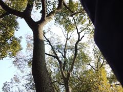 -寒山寺