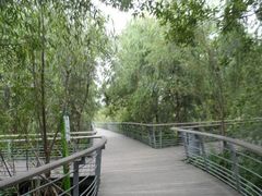 -西湖风景区-江洋畈生态公园
