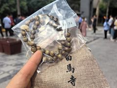 -洛阳白马寺