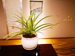 -雅戈尔富宫大酒店(观前街店)