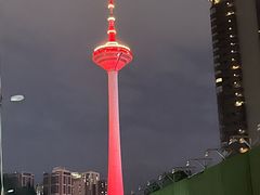 -辽宁电视塔