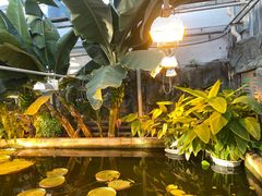 -国家植物园南园