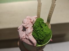 -鹤茶野所(上海首店)