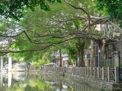 -小洲村