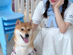 -怪兽屋·羊驼·猫咖·狗咖(俊华广场店)