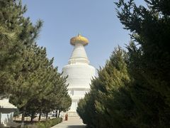 -凉州白塔寺景区