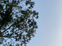 -重庆中央公园(渝北区)