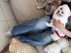 -怪兽屋·羊驼·猫咖·狗咖(俊华广场店)