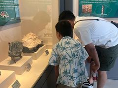 -房山世界地质公园博物馆