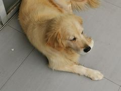 -江西阳明山国家森林公园