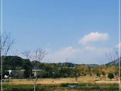 -牛岗山公园